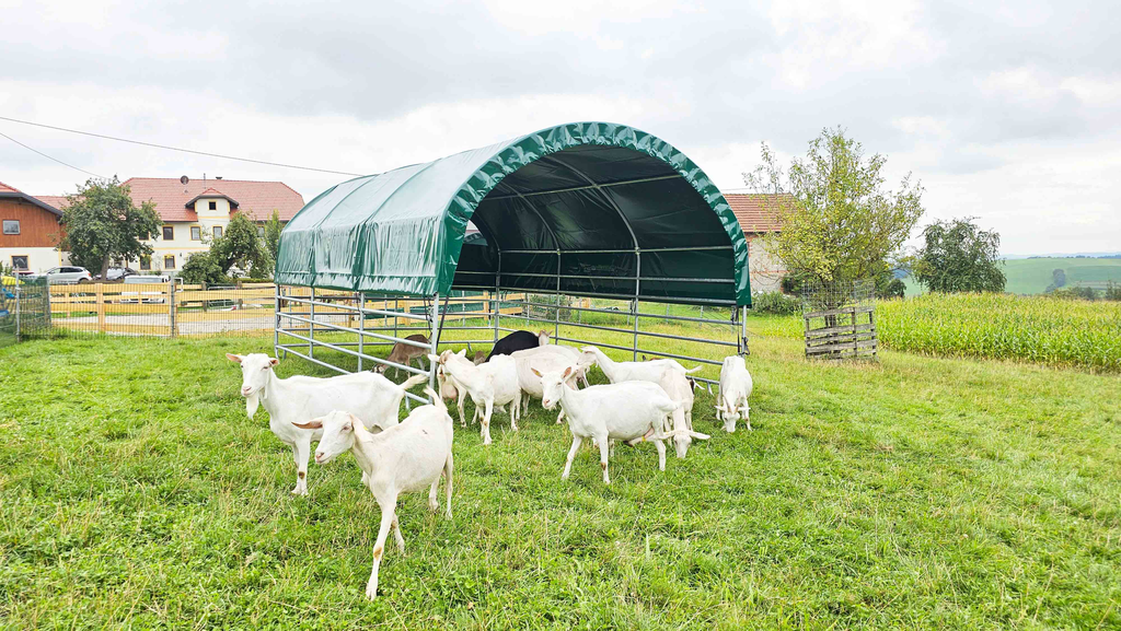 Dachplane mobiles Weidezelt, grün, kurz