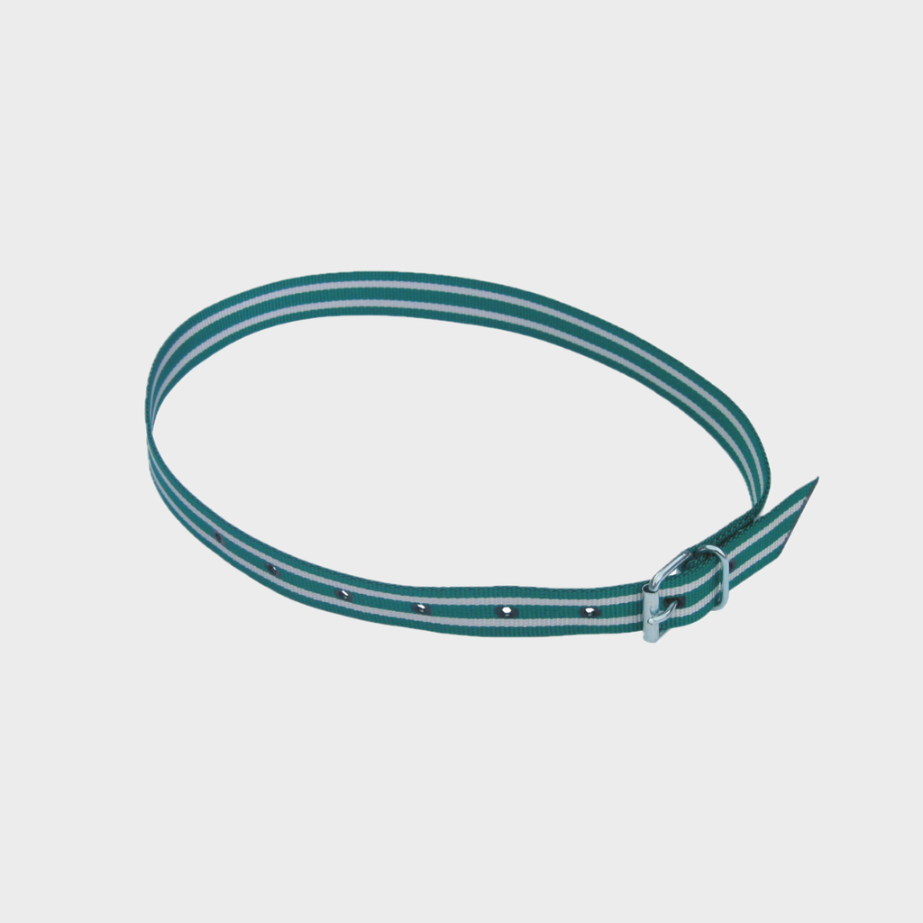 Halsmarkierungsband Premium, grün/weiß