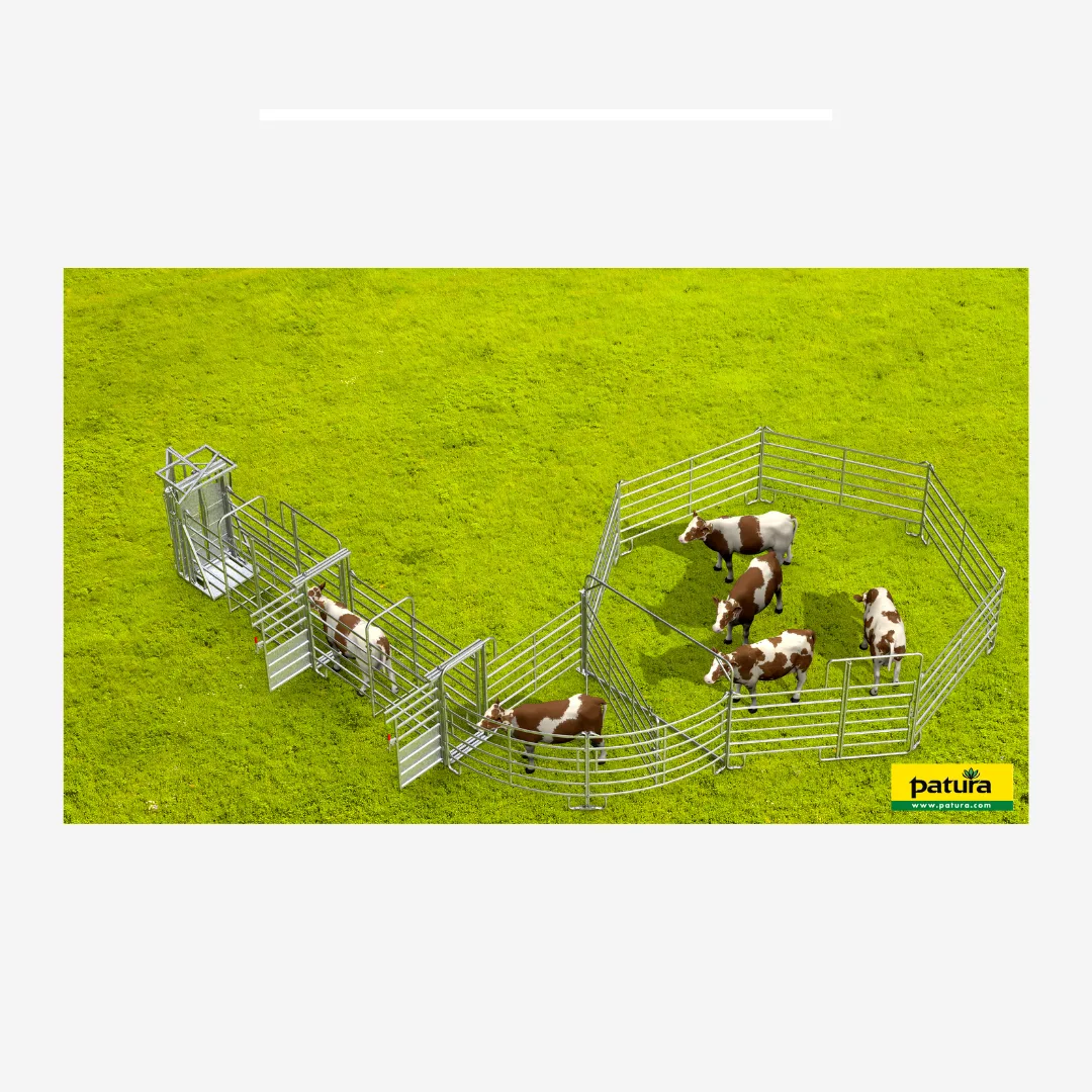 Set Behandlungsanlage für kleinere Tierbestände