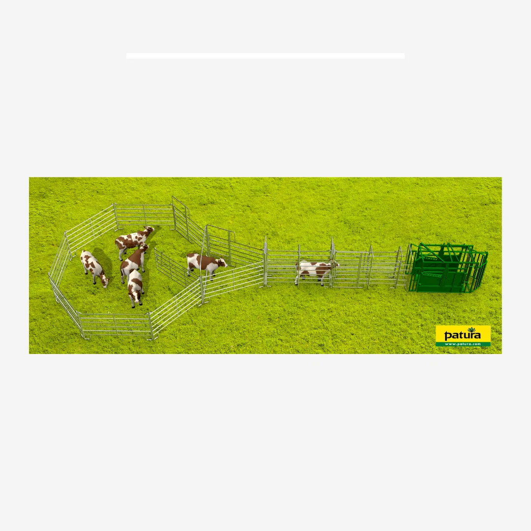 Set Behandlungsanlage für mittlere bis große Tierbestände mit A8000