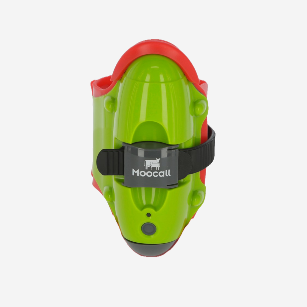 MOOCALL Abkalbemelder für Kühe