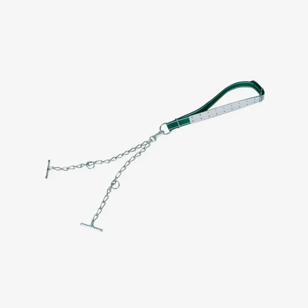 Jungbullenanb. kompl., Kette 6mm, dopp., mit Karabiner