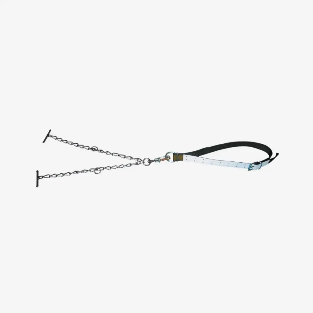 Bullenanb. kompl. m. Kette 7mm dopp., Sicherheitsverschl.groß