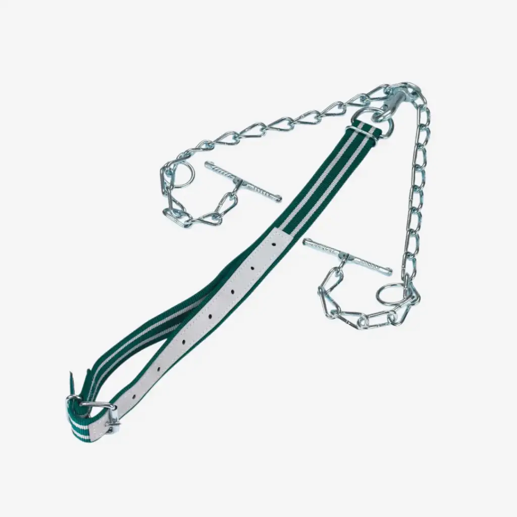 Rinderanb. kompl. m. Kette 6mm dopp., mit Karabiner