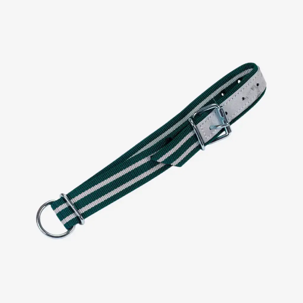 Halsb. grün/weiß,130x4cm Roll- schnalle, Ovalgl. und D-Ring
