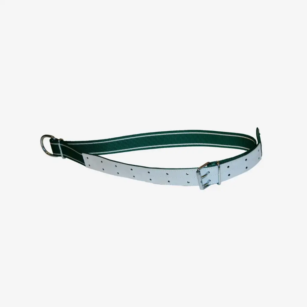 Halsb.grün/weiß,150x5cm mit Ovalglied und D-Ring