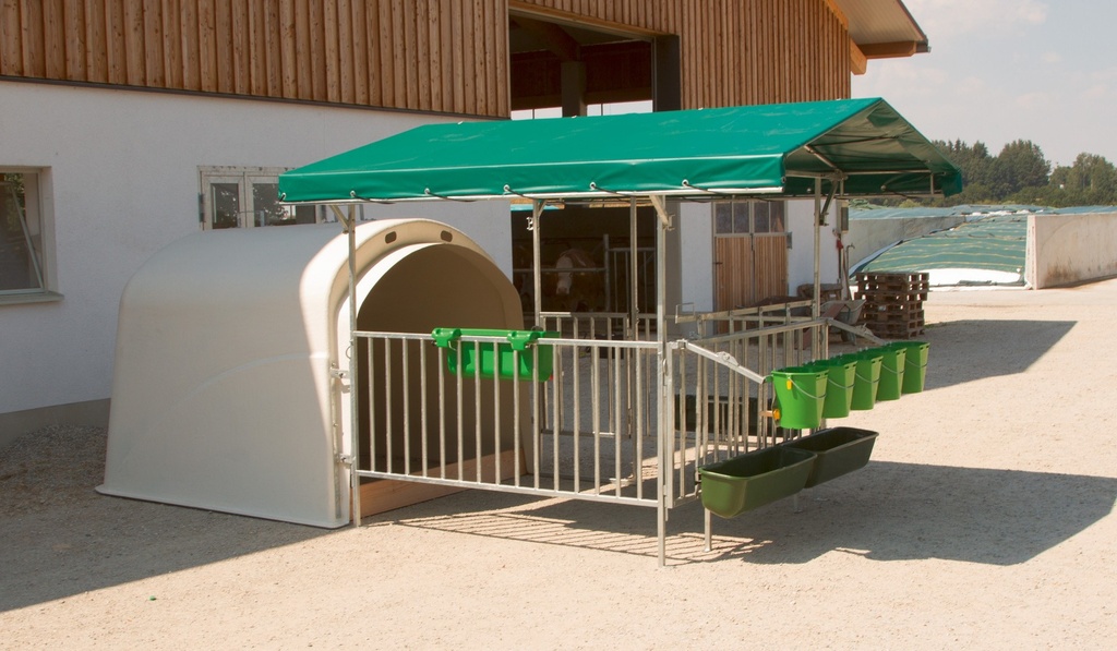 Vordach CalfHouse Premium 4/5