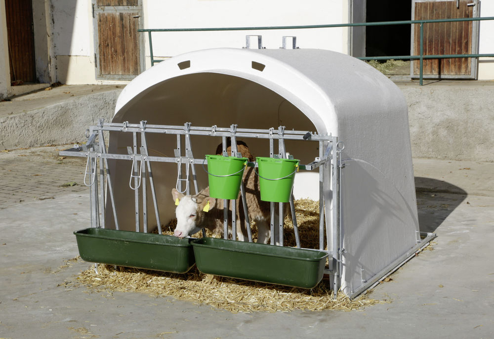 CalfHouse Premium XL mit Fanggitter
