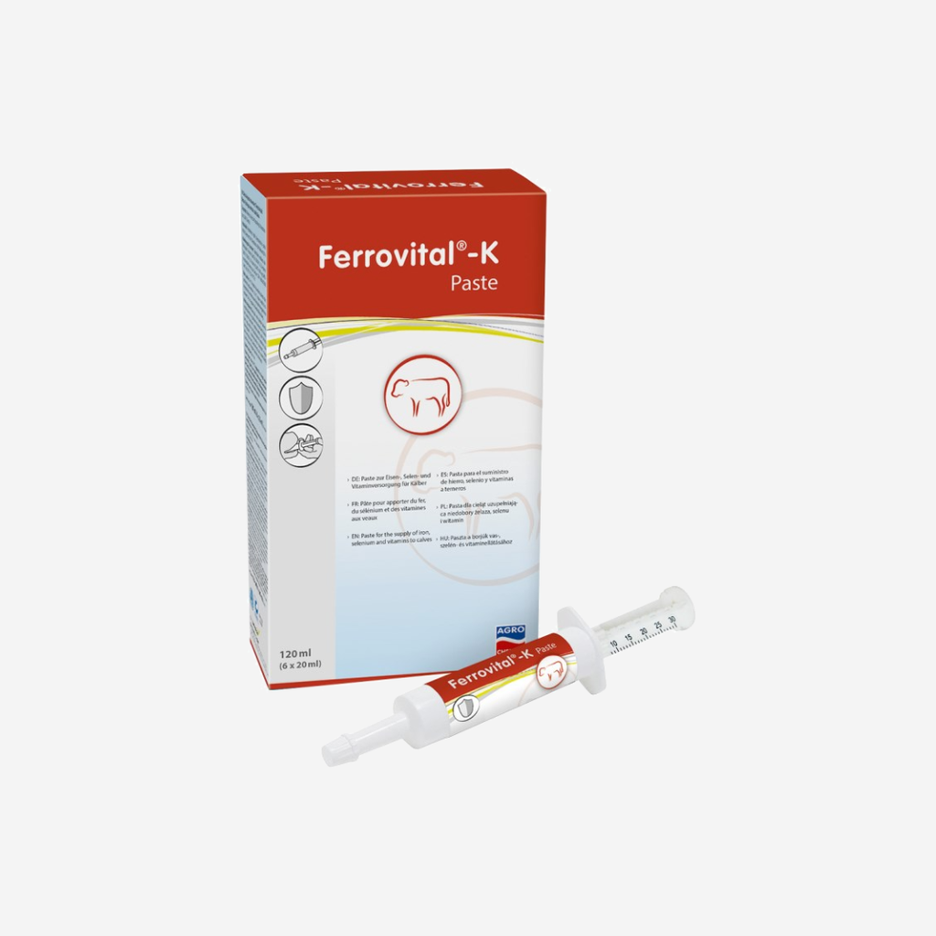 Ferrovital-K Eisenpaste 6x20ml
