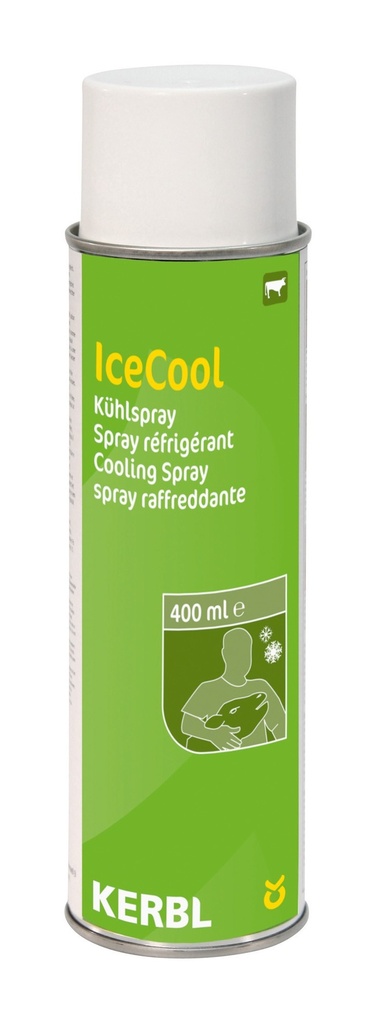 Kühlspray 400ml