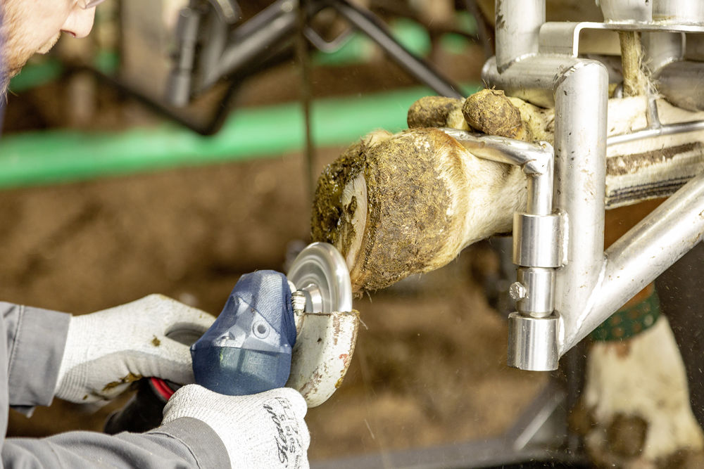 Messersatz, 3 Messer+Schrauben