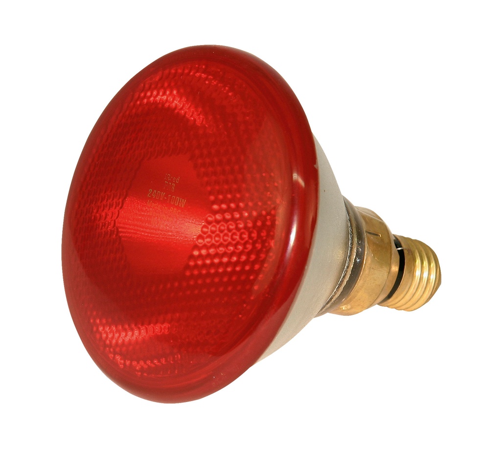 Sparlampe PAR38 100W rot