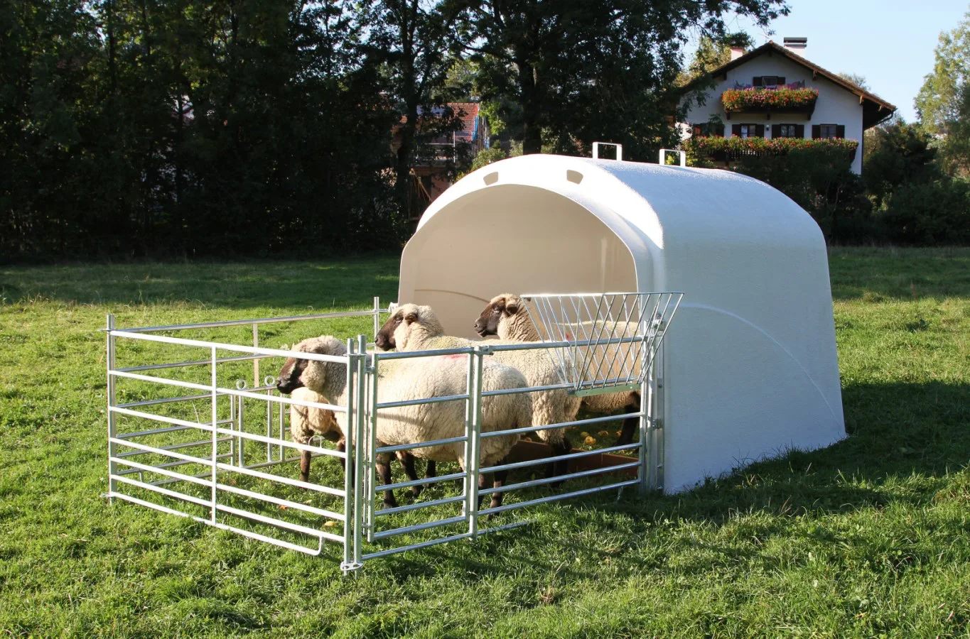 Großraumhütte mit Anschlussset für Steckhorden