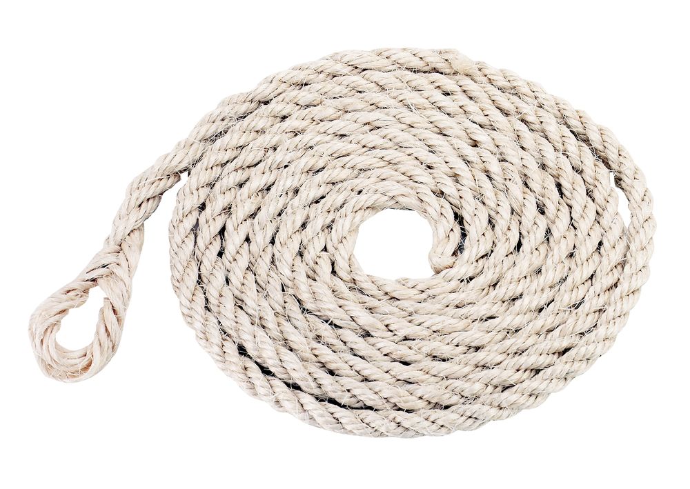 Viehtransportstrick 3,2 m/12  mm, Sisal, mit kleiner Schlauf