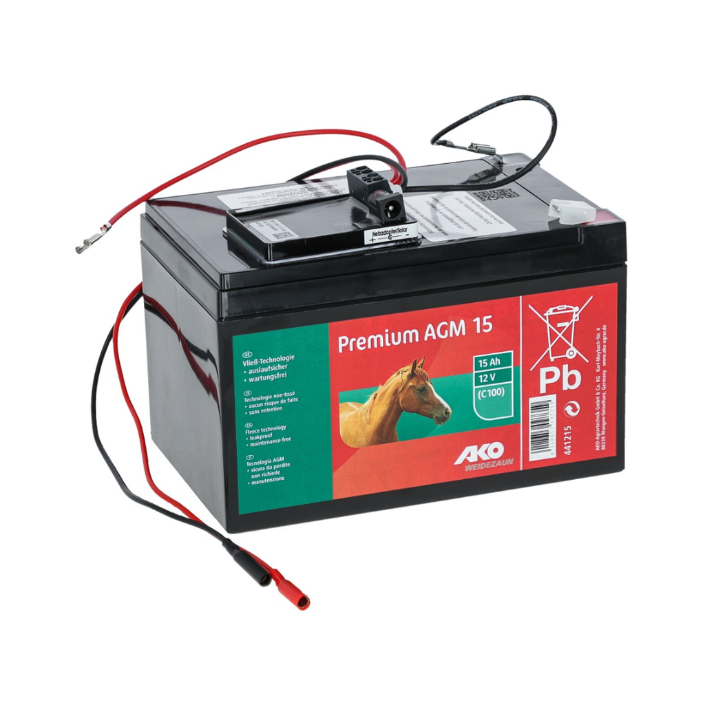 Power AGM 12V, 15Ah, inkl. Laderegler und Netzladegerät