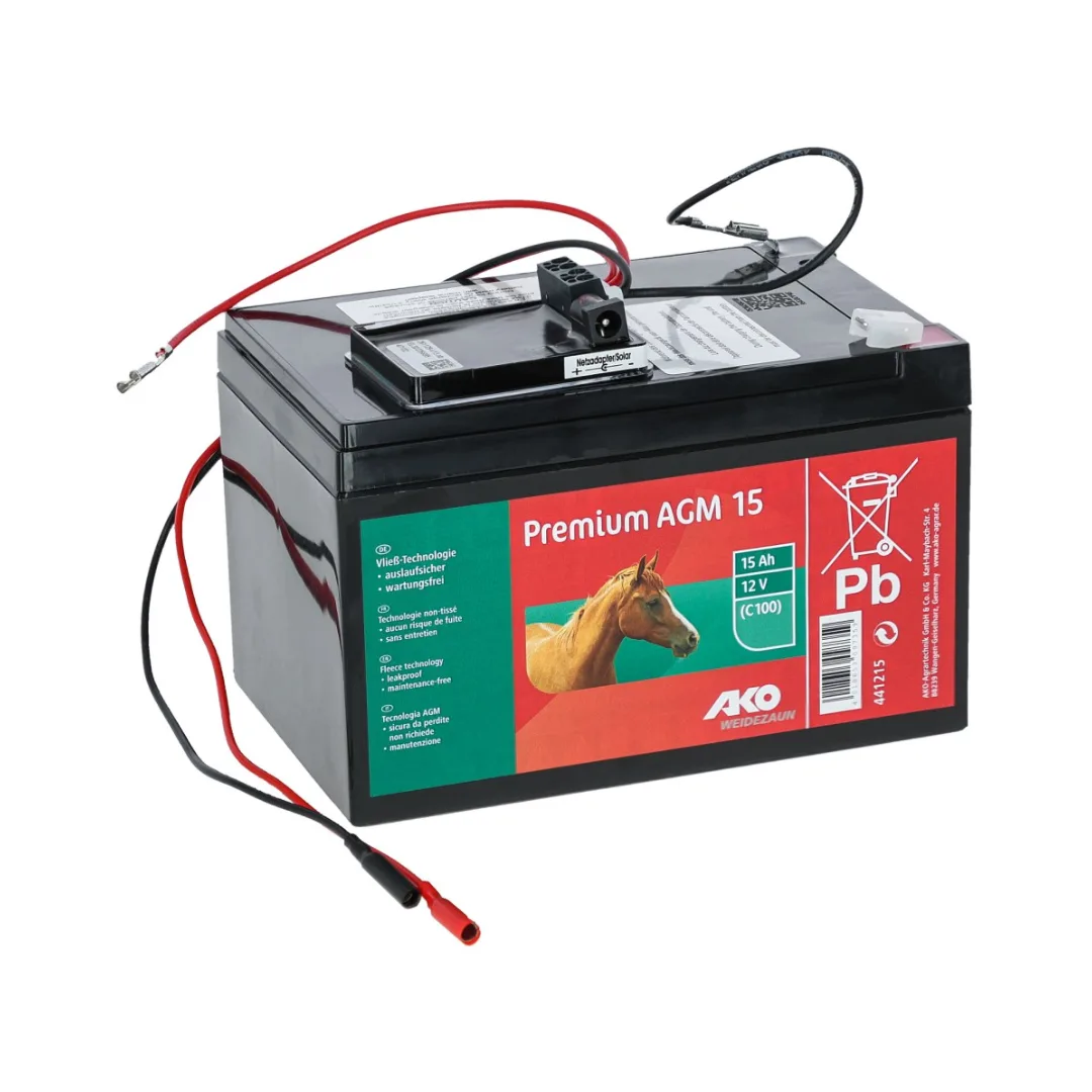 Power AGM 12V, 15Ah, inkl. Laderegler und Netzladegerät