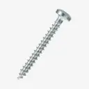 Spez. Holzschrauben, verzinkt, 4,5x35 mm (100 Stück / Pack)inkl.1 Einschraub-Bit