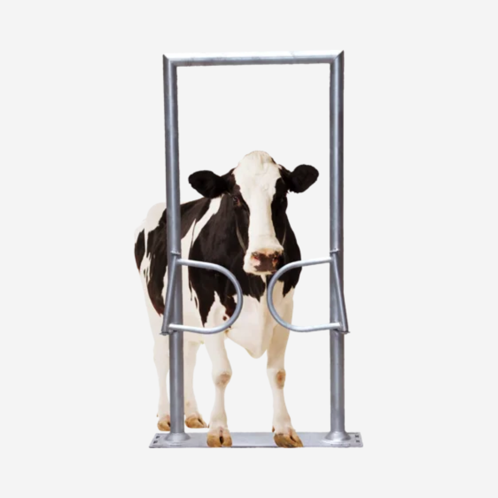 Ein-Wege-Tor, 2-flügelig, mit Rahmen