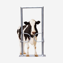 Ein-Wege-Tor, 2-flügelig, mit Rahmen