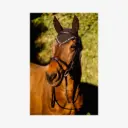 Fliegenhaube Classic