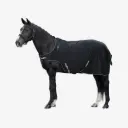 Führanlagendecke schwarz