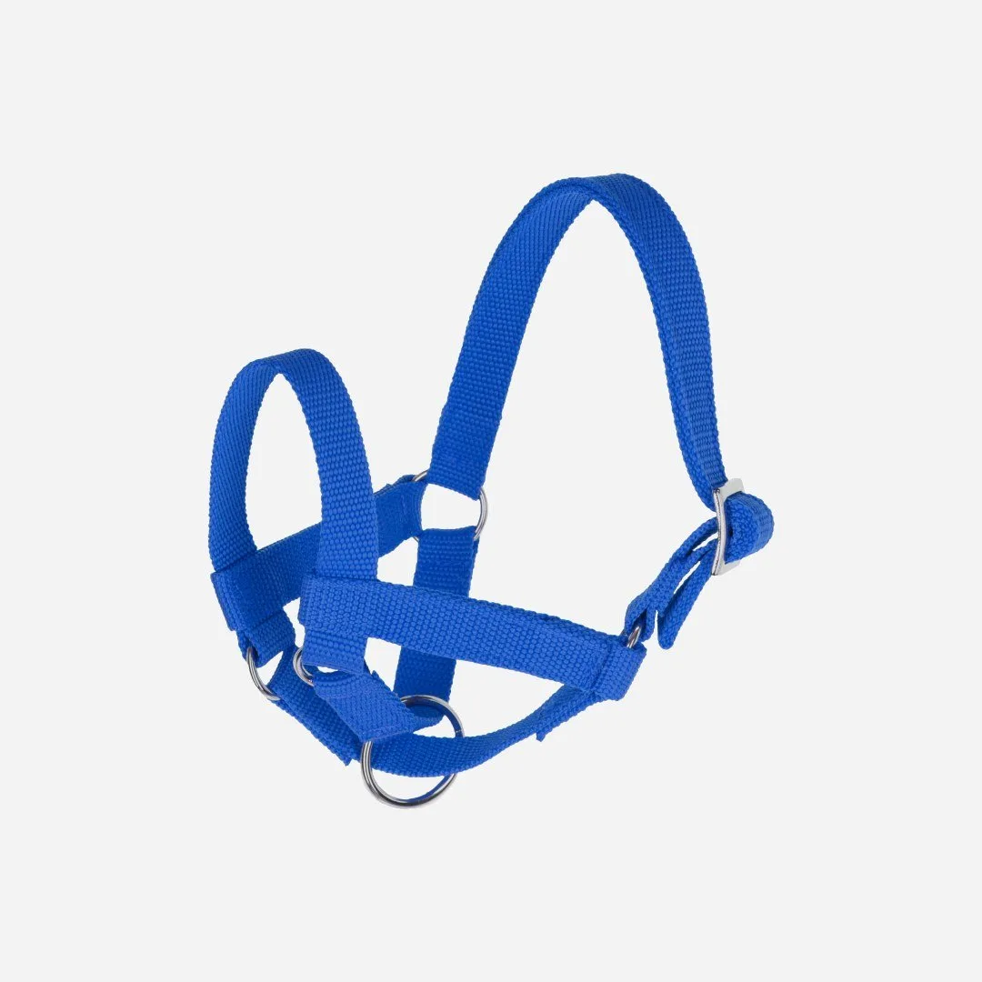 Lama-Halfter (blau)